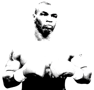 Who was the greatest boxer in their prime?