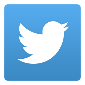 What do you prefer more for social media?