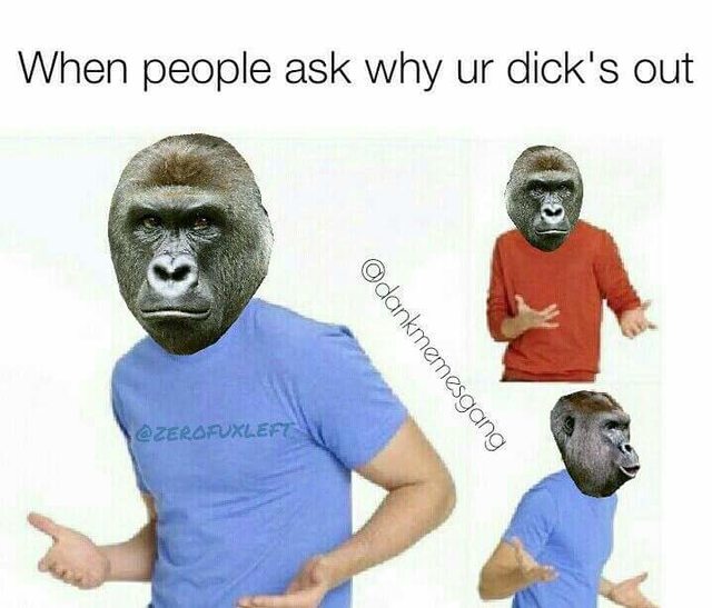 What was the best meme series of 2016?