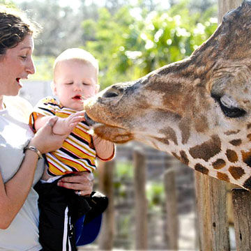 Are zoos still necessary?