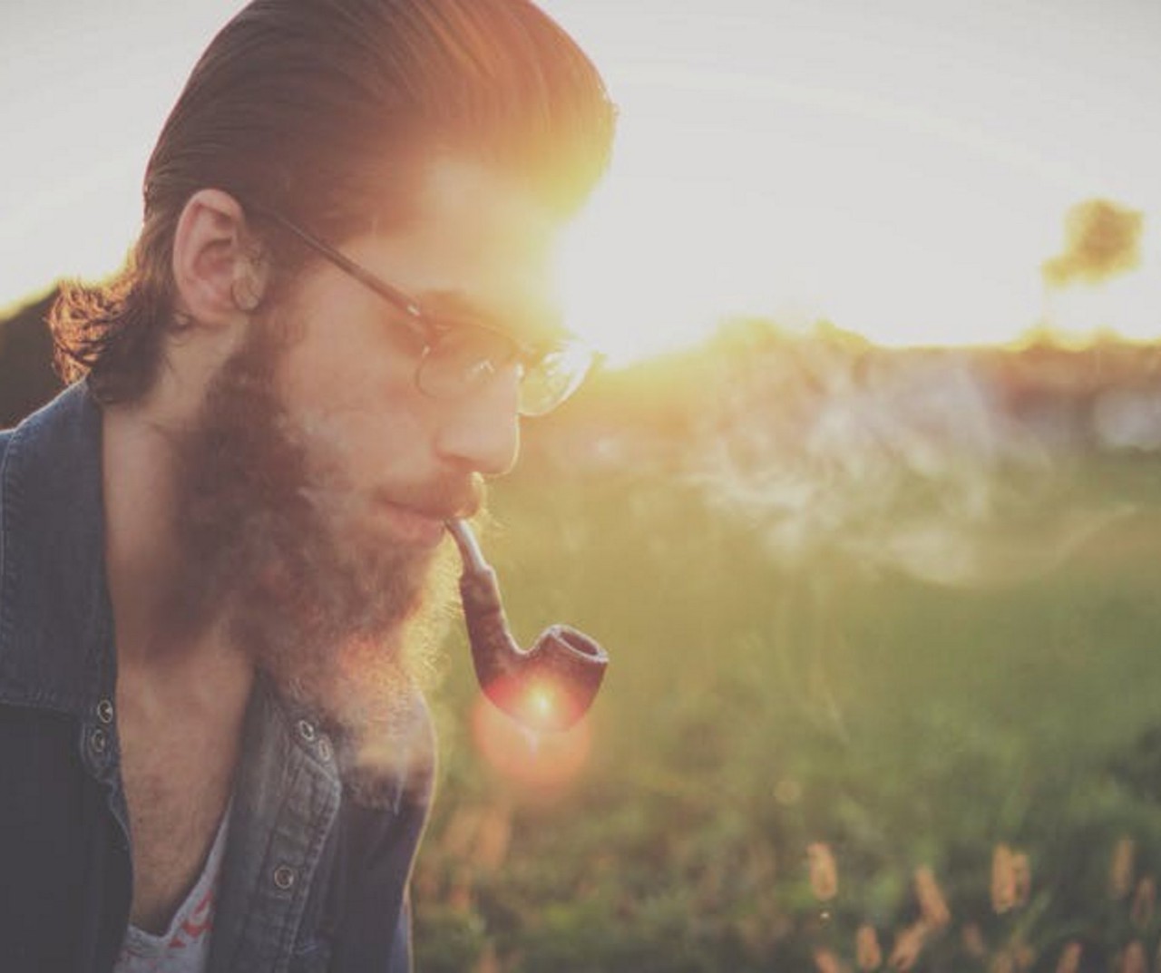 Do You Prefer Indica or Sativa?