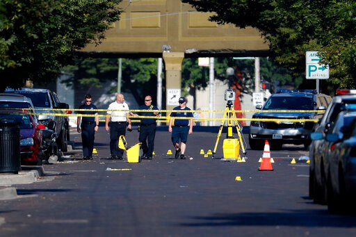 Are guns in general a big problem in America?