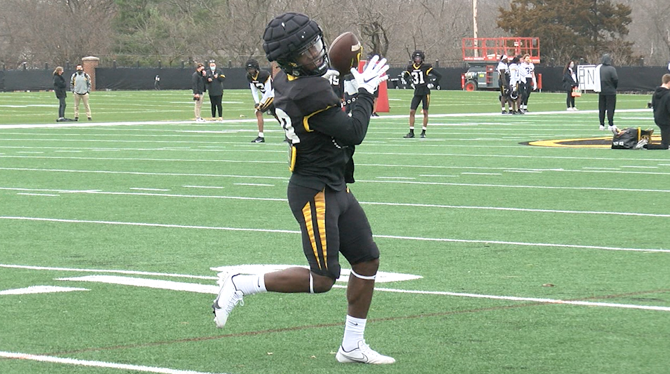Do you plan to watch Mizzou football games in person this fall?