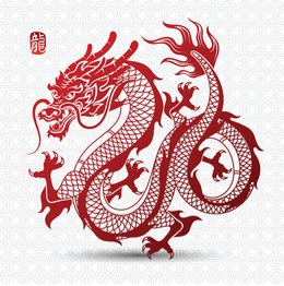 What type of Dragon is best?