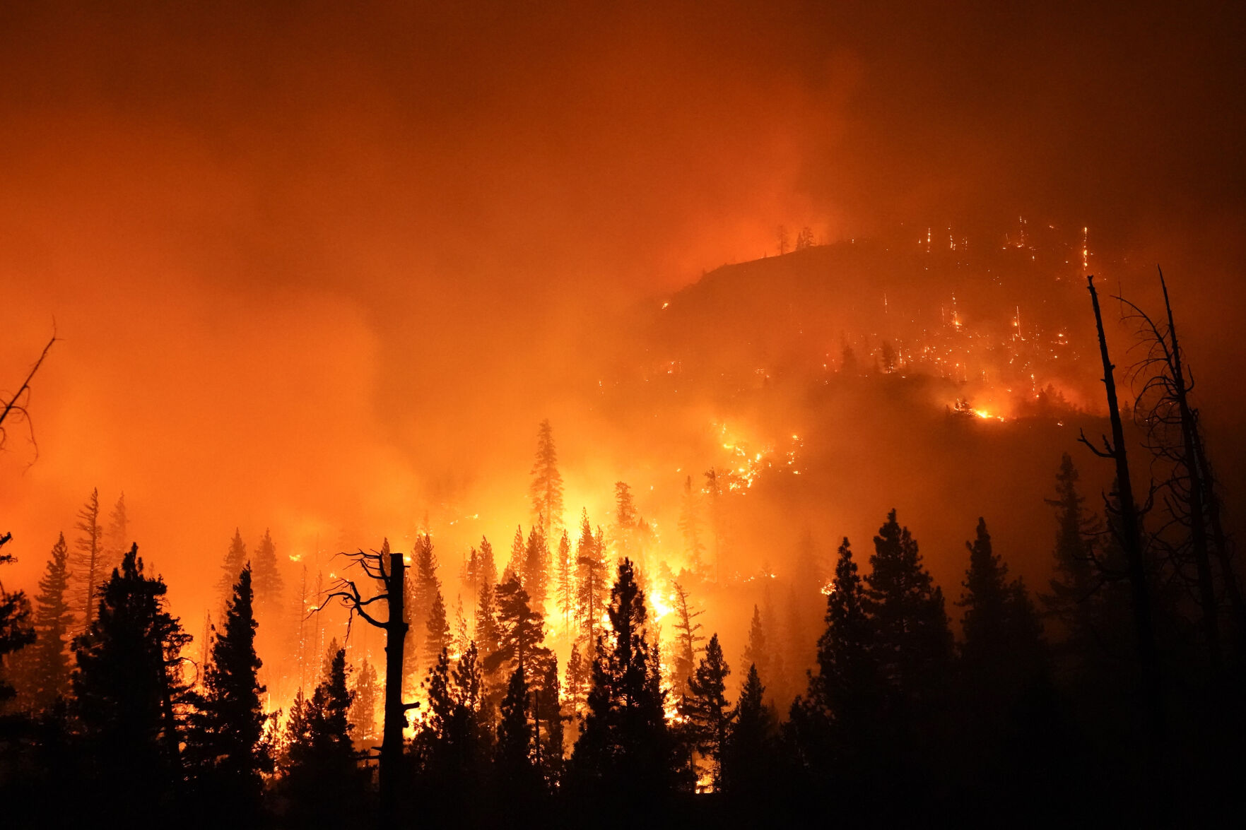 Which natural disaster do you find the most frightening?