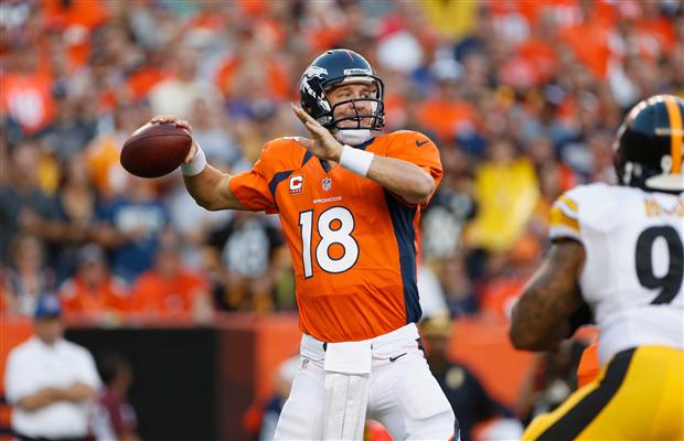 Who do you think will win Super Bowl XLVIII?