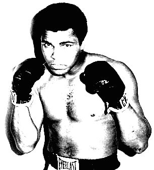 Who was the greatest boxer in their prime?